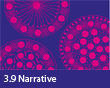 3.9 Narrative