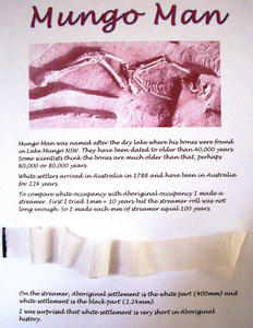 Student work; picture of human bones; text; length of paper streamer, predominantly white with a thin strip of black.
