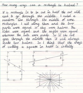 Rectangles with central points marked and straight lines drawn through the centres to divide them into halves, with corresponding sides and alternate interior angles marked as being equal.